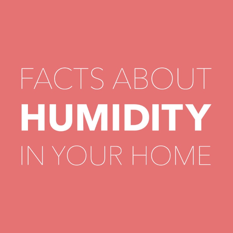 V-IAQ_005-Humidity-Facts
