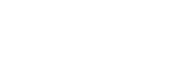 dust free logo